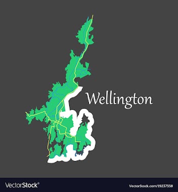 Detailed flat map of wellington new zealand vector image