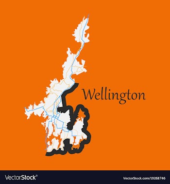 Detailed flat map of wellington new zealand vector image