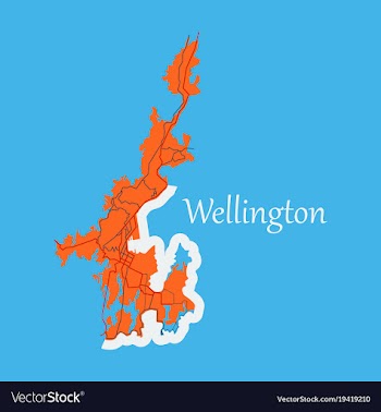 Detailed flat map of wellington new zealand vector image