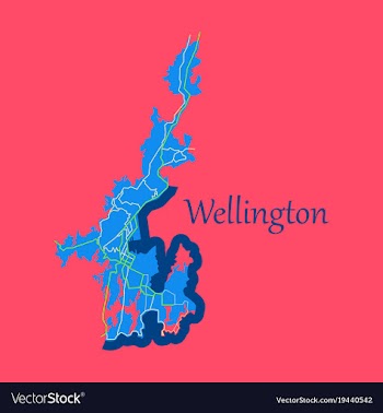 Detailed flat map of wellington new zealand vector image