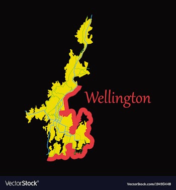 Detailed flat map of wellington new zealand vector image