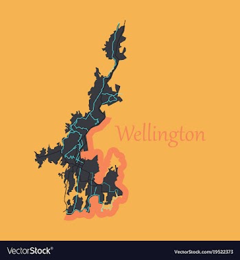 Detailed flat map of wellington new zealand vector image