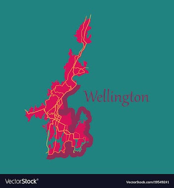 Detailed flat map of wellington new zealand vector image