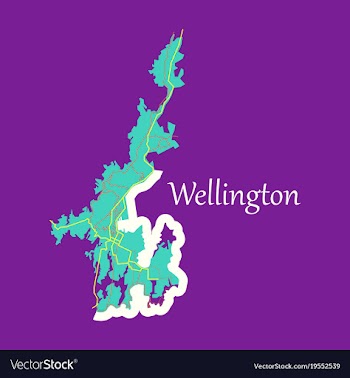 Detailed flat map of wellington new zealand vector image
