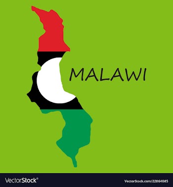 Detailed malawi map vector image