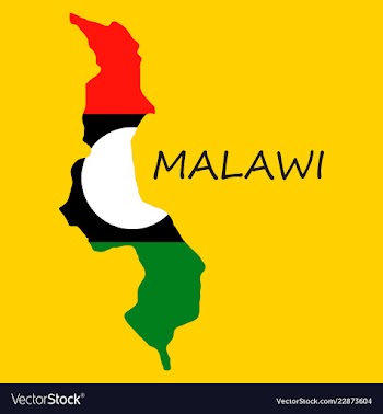 Detailed malawi map vector image
