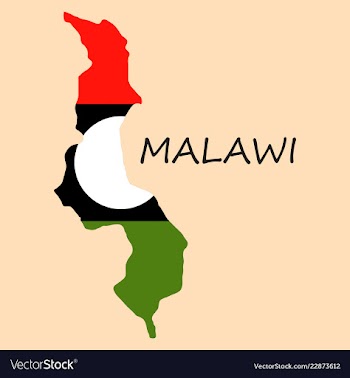 Detailed malawi map vector image