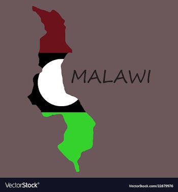 Detailed malawi map vector image