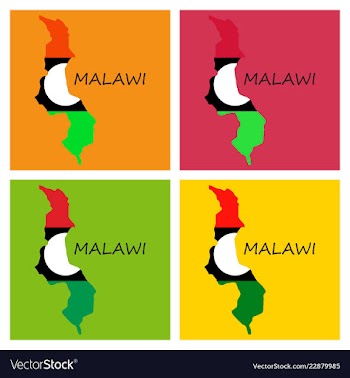 Detailed malawi map vector image