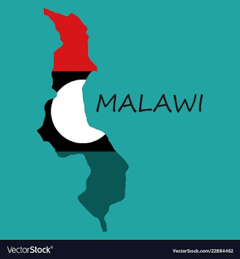 Detailed malawi map vector image