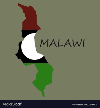 Detailed malawi map vector image