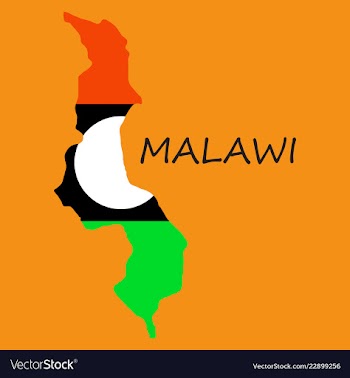 Detailed malawi map vector image