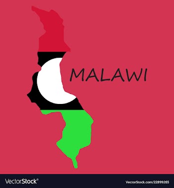 Detailed malawi map vector image