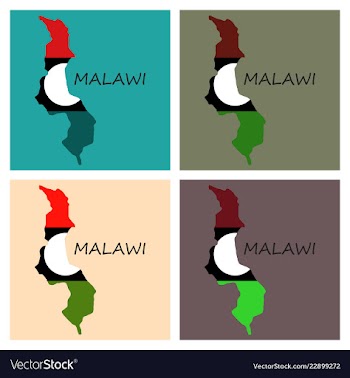 Detailed malawi map vector image