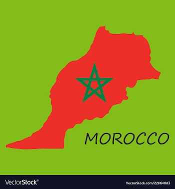 Detailed morocco-map-flag vector image