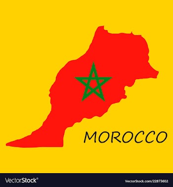 Detailed morocco-map-flag vector image
