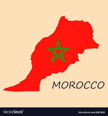 Detailed morocco-map-flag vector image