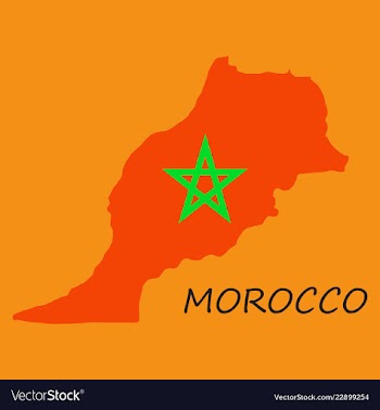 Detailed morocco-map-flag vector image