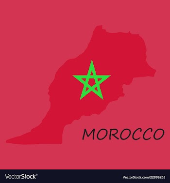 Detailed morocco-map-flag vector image