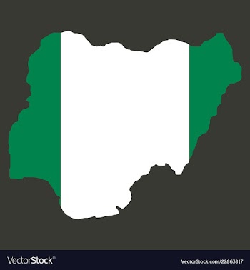 Detailed nigeria map vector image