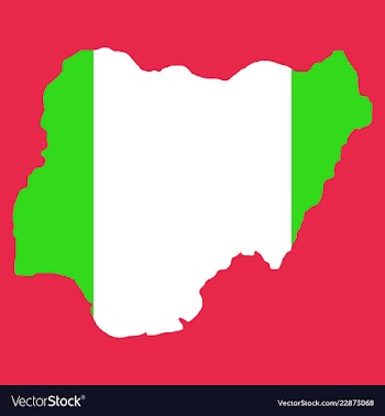 Detailed nigeria map vector image