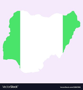Detailed nigeria map vector image