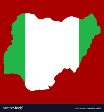 Detailed nigeria map vector image