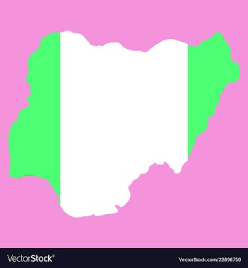 Detailed nigeria map vector image