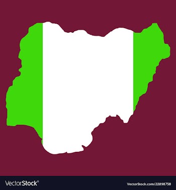 Detailed nigeria map vector image