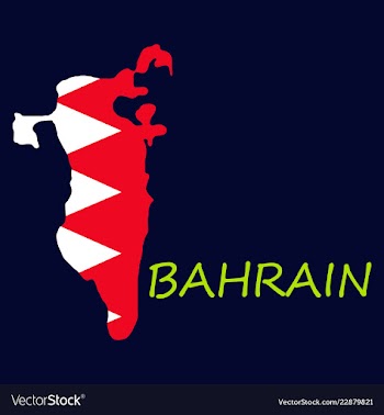Detailed of a map of bahrain with flag eps10 vector image