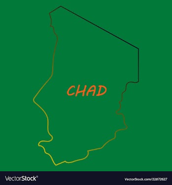 Detailed of a map of chad with flag eps10 vector image