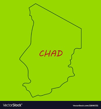 Detailed of a map of chad with flag eps10 vector image