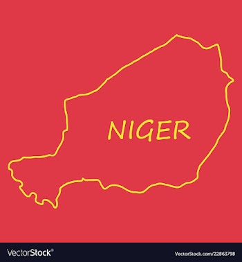 Detailed of a map of niger with flag eps10 vector image