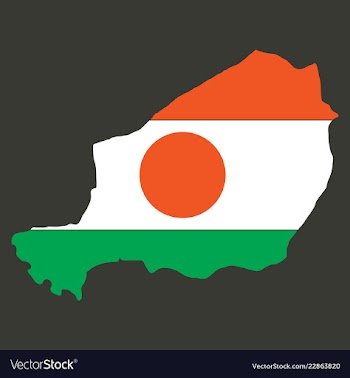 Detailed of a map of niger with flag eps10 vector image