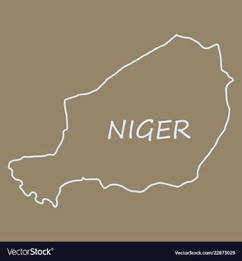 Detailed of a map of niger with flag eps10 vector image