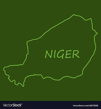 Detailed of a map of niger with flag eps10 vector image