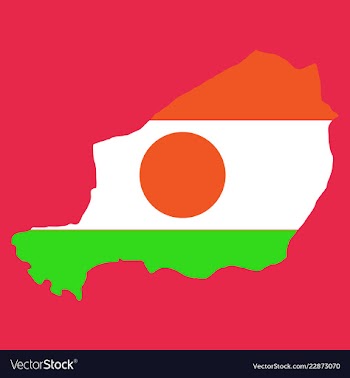 Detailed of a map of niger with flag eps10 vector image