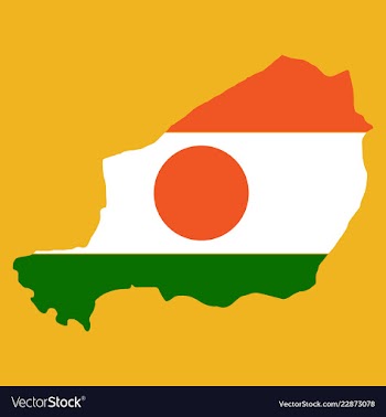 Detailed of a map of niger with flag eps10 vector image