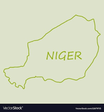 Detailed of a map of niger with flag eps10 vector image