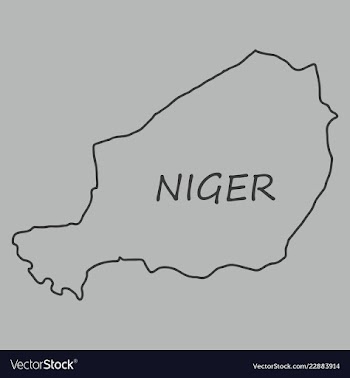 Detailed of a map of niger with flag eps10 vector image