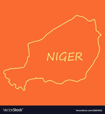 Detailed of a map of niger with flag eps10 vector image
