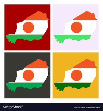 Detailed of a map of niger with flag eps10 vector image