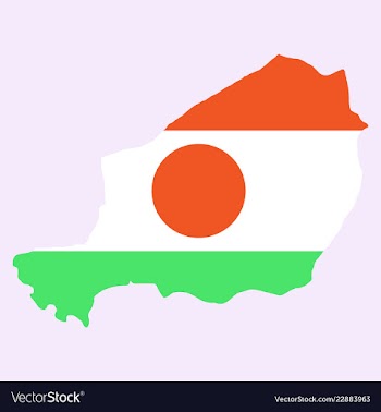 Detailed of a map of niger with flag eps10 vector image