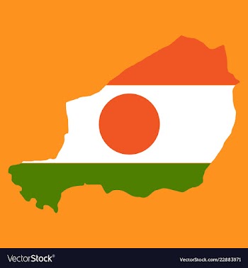 Detailed of a map of niger with flag eps10 vector image