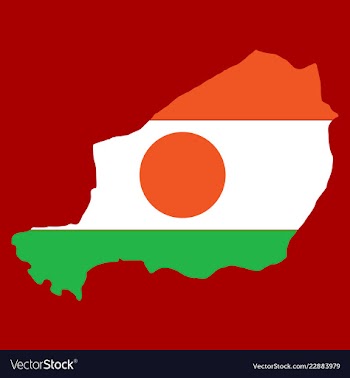 Detailed of a map of niger with flag eps10 vector image