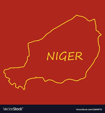 Detailed of a map of niger with flag eps10 vector image