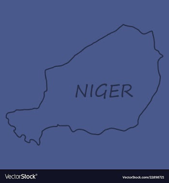 Detailed of a map of niger with flag eps10 vector image