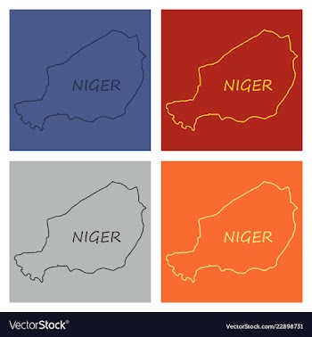 Detailed of a map of niger with flag eps10 vector image