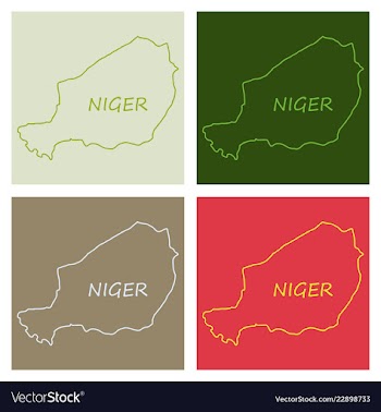 Detailed of a map of niger with flag eps10 vector image