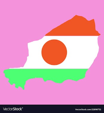 Detailed of a map of niger with flag eps10 vector image